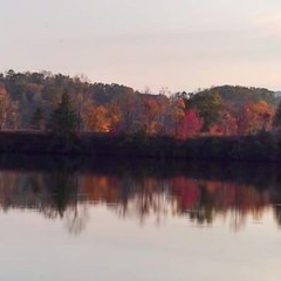 Meet your Posher - Picture 4 of 4